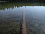 An underwater log and crystal clear water